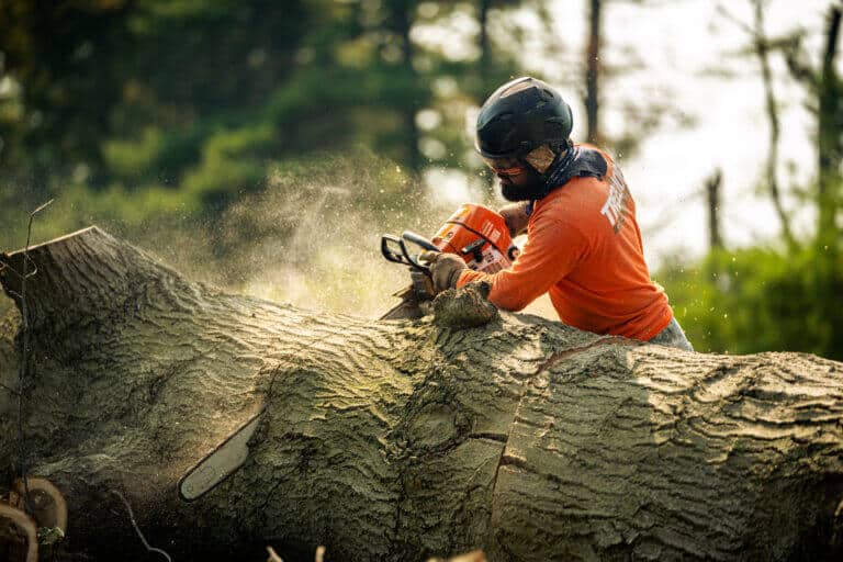 Tree Cutting Marietta GA