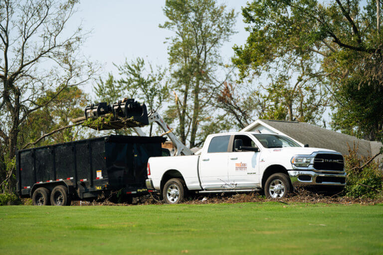 Tree Service Atlanta GA
