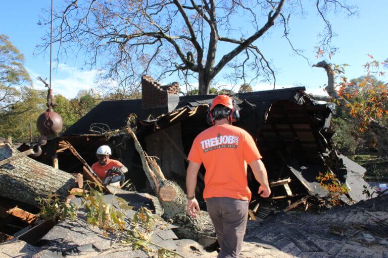 Emergency Tree Service Marietta GA