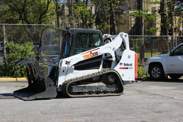 Commercial Tree Care Removal Atlanta GA
